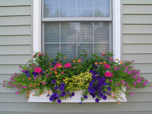 plantes-artificielles-décoration-d'une-fenêtre