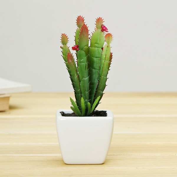 plantes-artificielles-un-cactus