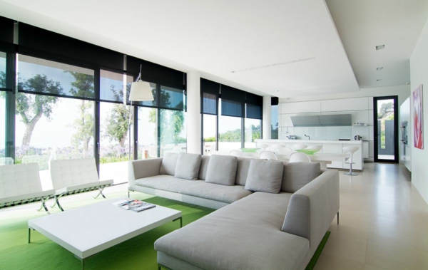 intérieur-de-la-maison-contemporaine-avec-du-canapé-et-un-tapis-vert
