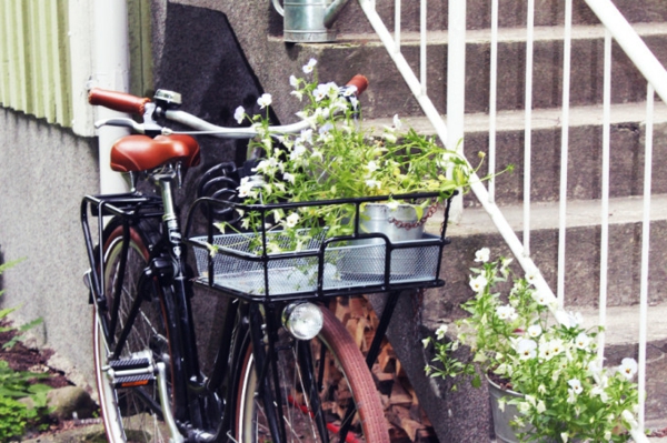 vélo-pour-des-fleurs-du-jardin