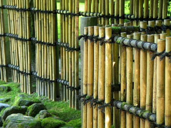 La canisse  bambou  une cl ture de jardin jolie et 