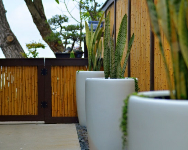 canisse-bambou-et-grands-pots-de-fleurs