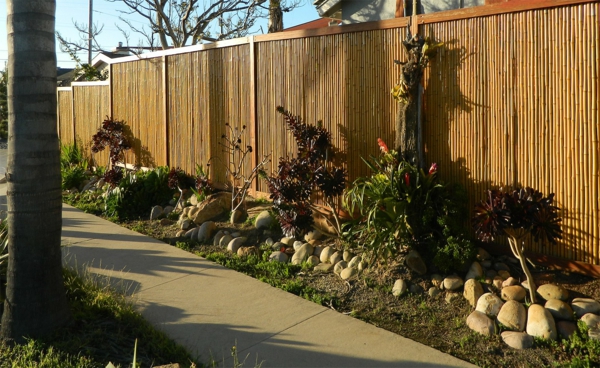 canisse-bambou-et-une-allée-de-jardin