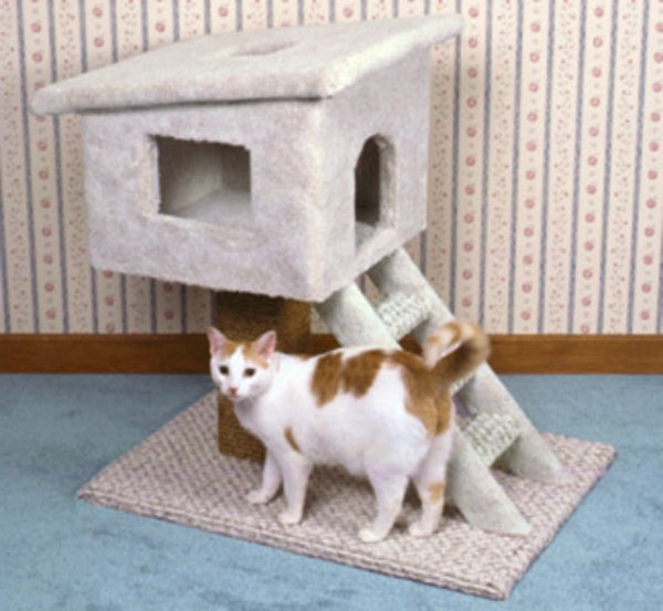 maisonnette-pour-chat-avec-échelle