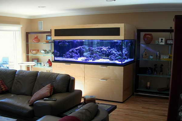 meuble-aquarium-aquarium-original