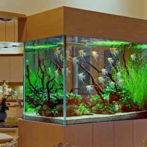 La décoration avec un meuble aquarium