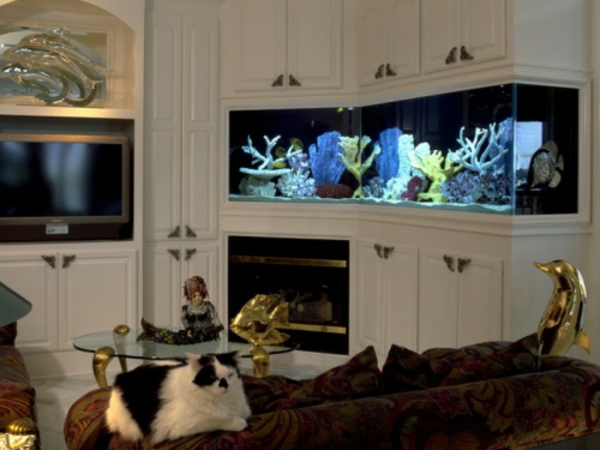 meuble-aquarium-armoire-blanche