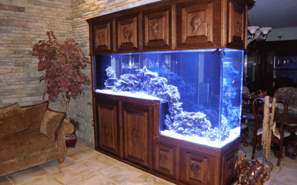 meuble-aquarium-et-un-style-traditionnel