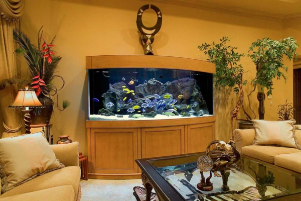 meuble-aquarium-intérieur-cosy-unique