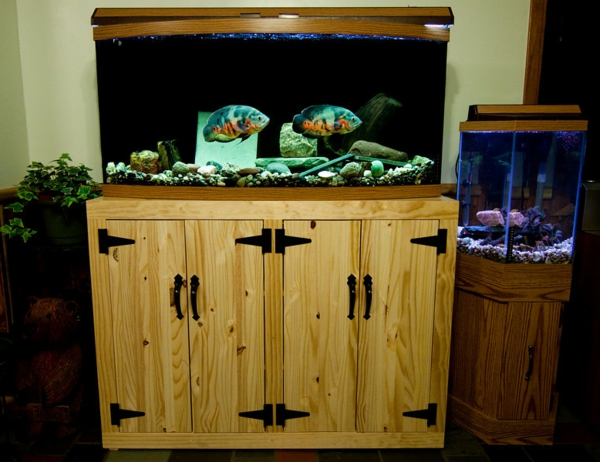 meuble-aquarium-jolies-poissons