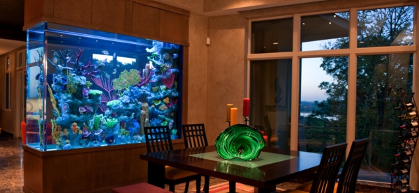 meuble-aquarium-pour-un-intérieur-remarquable