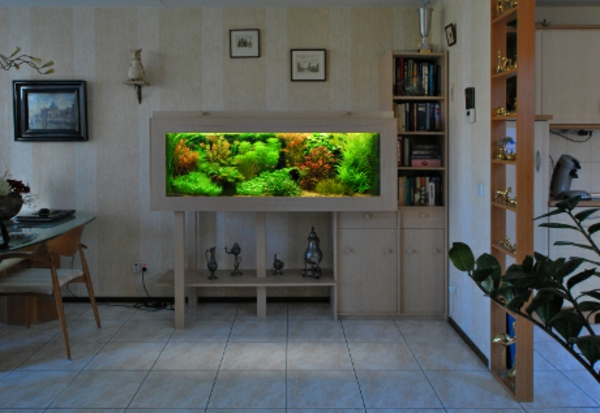 meuble-aquarium-un-buffet-aquarium