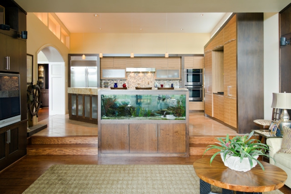 meuble-aquarium-une-cuisine-moderne