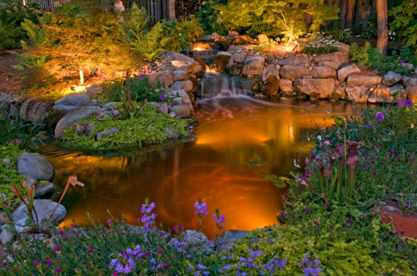 jardin-aquatique-avec-éclairage-extérieur-enchantant