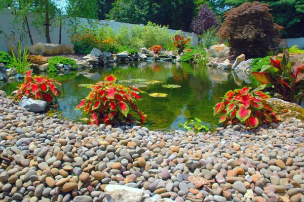 jardin-aquatique-jolie-déco-d'extérieur-miraculeux
