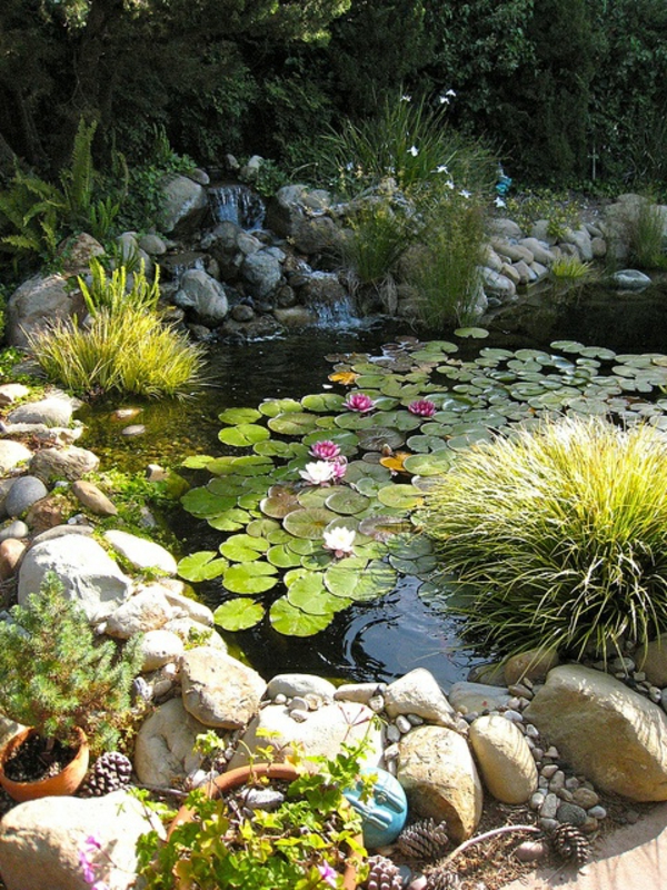 jardin-aquatique-le-lotus-mythique-décoration-avec-des-pierres