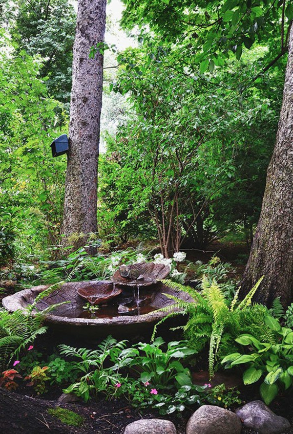 jardin-aquatique-petite-fontaine-en-pleine-nature