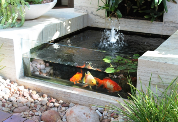 jardin-aquatique-un-aquarium-extérieur