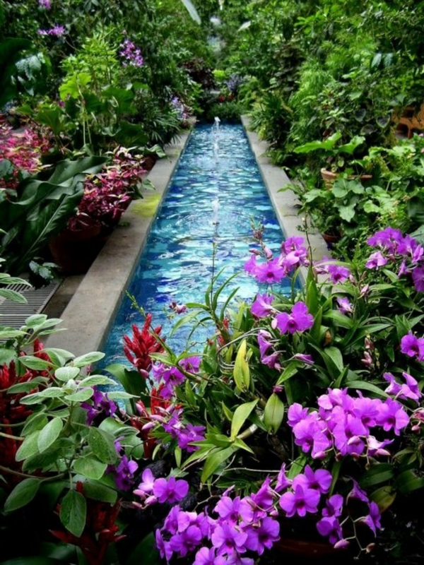 jardin-aquatique-un-canal-d'eau-et-des-fleurs