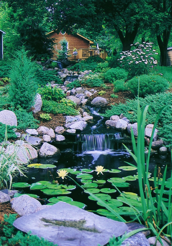 jardin-aquatique-un-fleuve-vertical