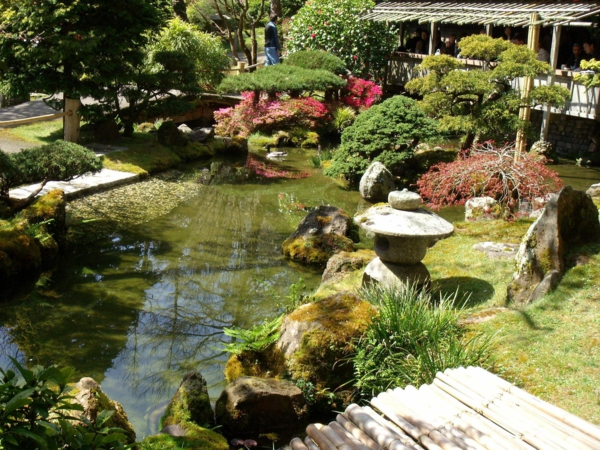 jardin-aquatique-un-jardin-inspirant