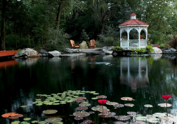 jardin-aquatique-un-jardin-magique