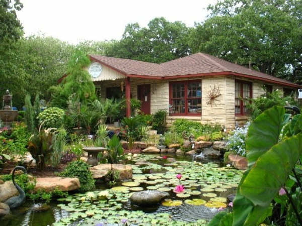 jardin-aquatique-étang-naturel-devant-une-maison