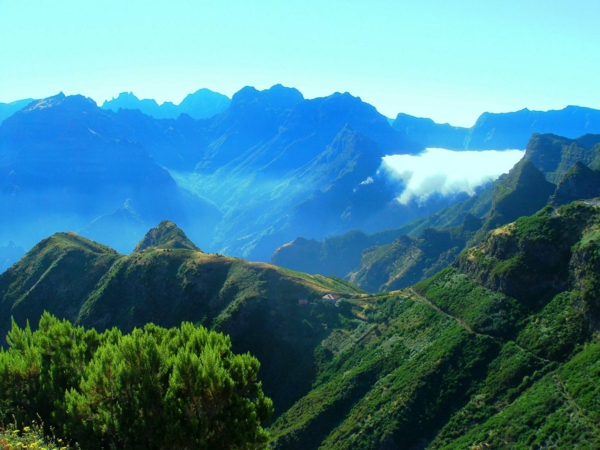 Madeira-nature-magnifique-Portugal-jolie-plantes