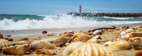 algarve-phare-shelfs-la-mer-océan-sable