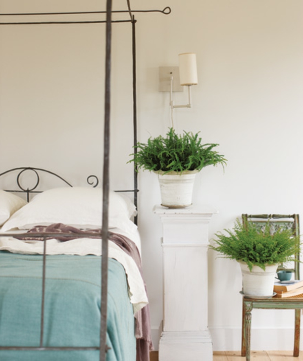 ambiance-nature-joviale-chambre-à-coucher-plante-verte