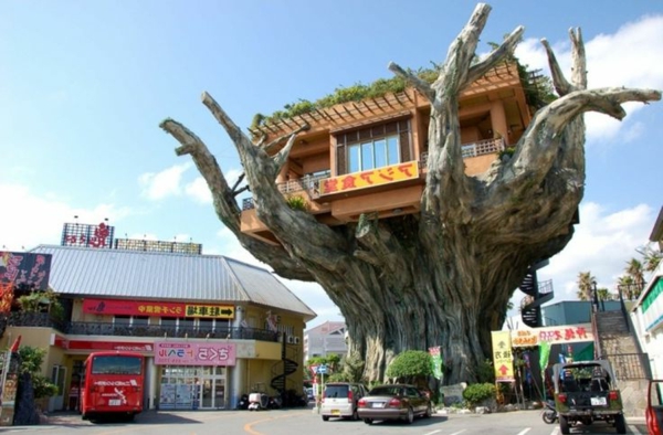 cabanes-dans-les-arbres-au-Japon