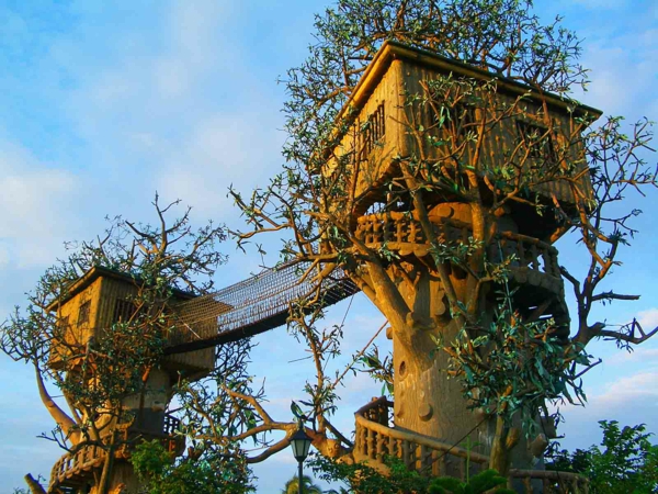 cabanes-dans-les-arbres-deux-cabanes-liées-avec-un-pont