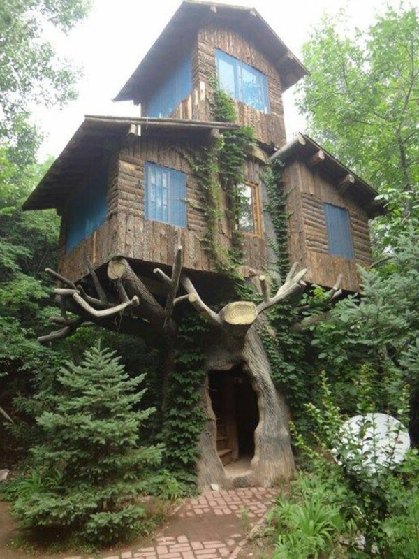 cabanes-dans-les-arbres-idées-intéressantes-d'architecture