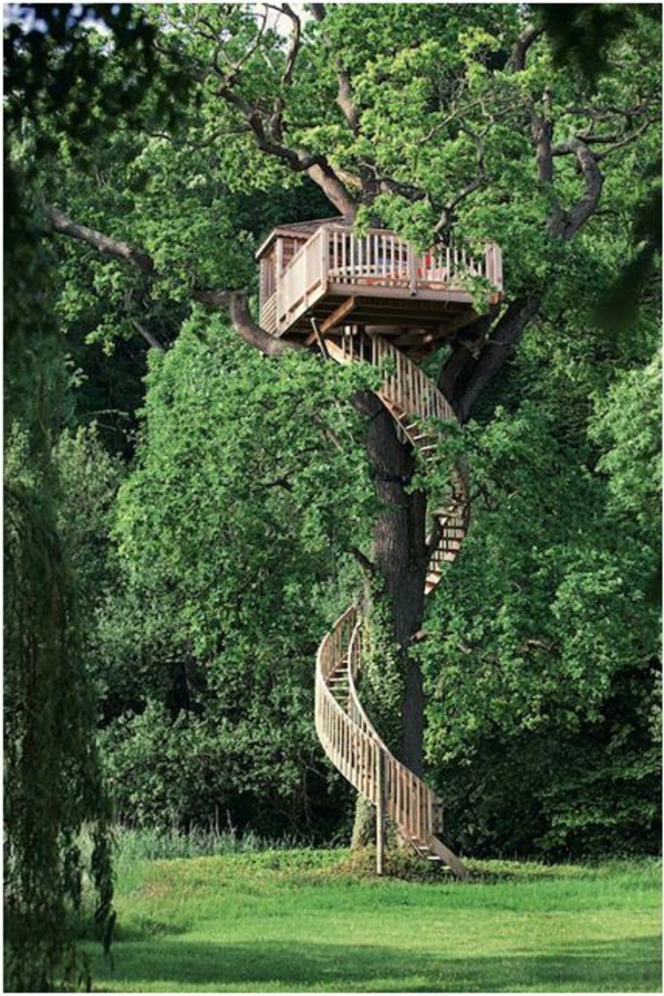 cabanes-dans-les-arbres-maison-avec-escalier