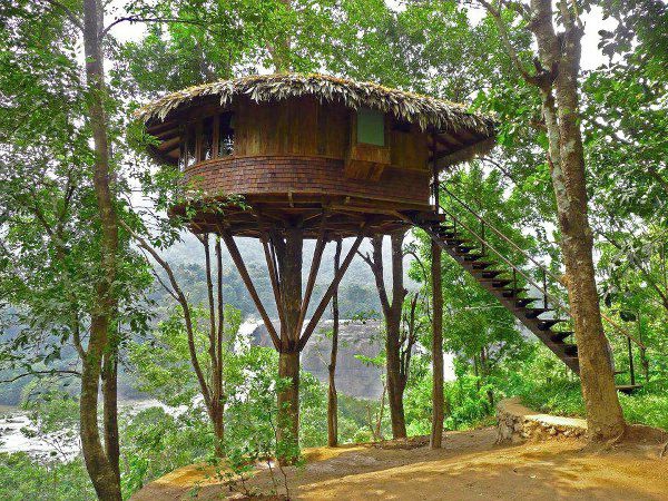 cabanes-dans-les-arbres-toiture-en-feuilles