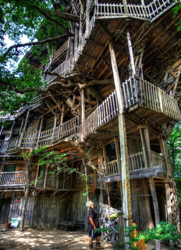 cabanes-dans-les-arbres-un-grand-hôtel-extraordinaire