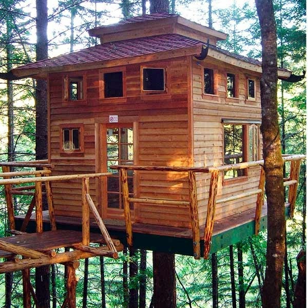 cabanes-dans-les-arbres-une-cabane-et-un-pont-en-bois