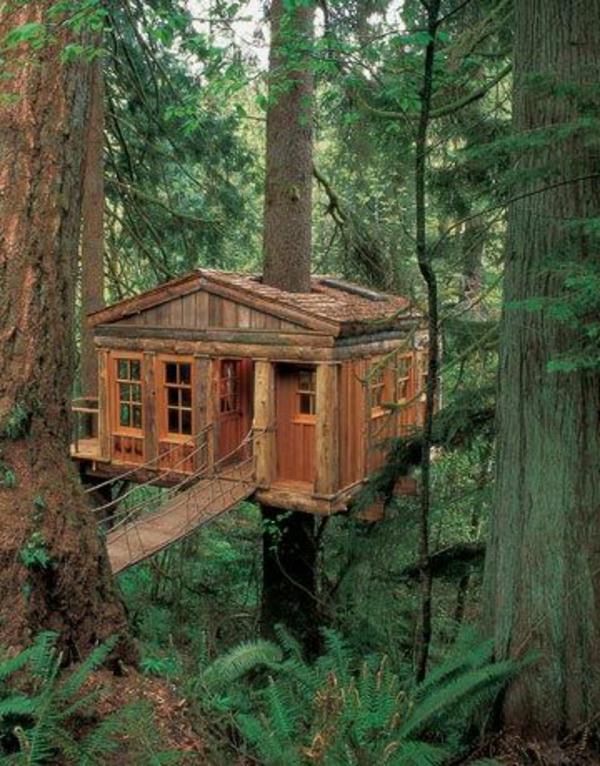 cabanes-dans-les-arbres-une-cabane-fantastique-entre-les-arbres