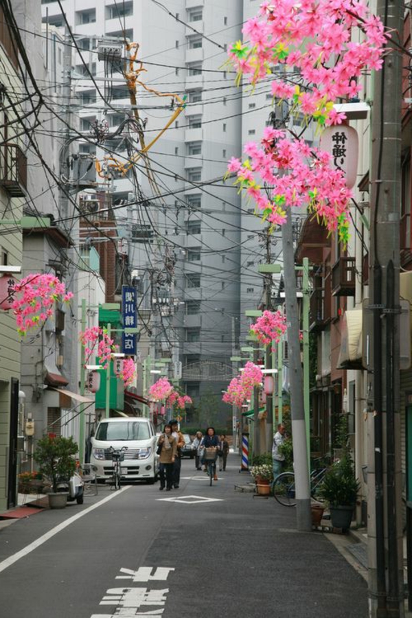 cerisier-japonais-des-branches-fleuries