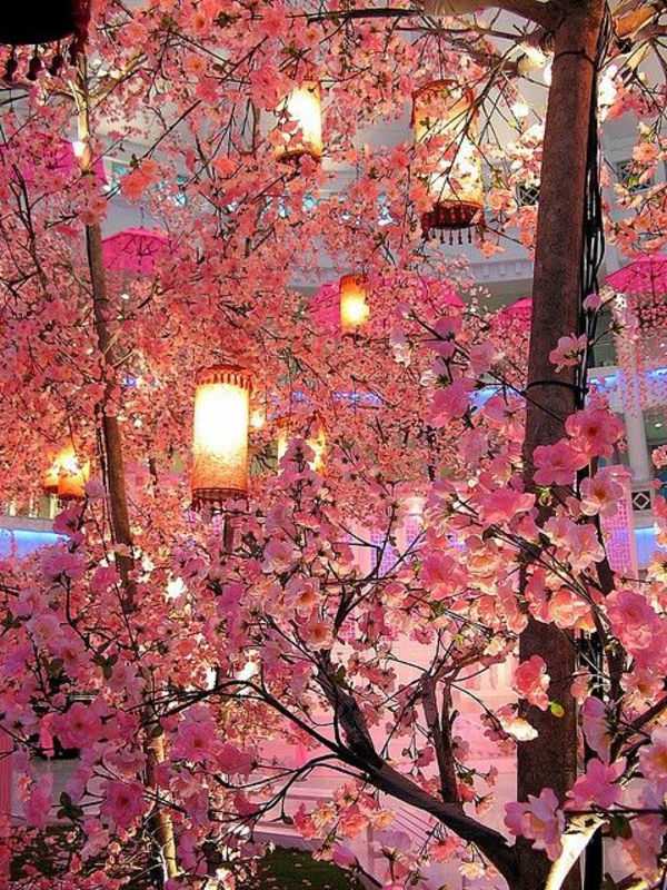 cerisier-japonais-la-fête-du-printemps