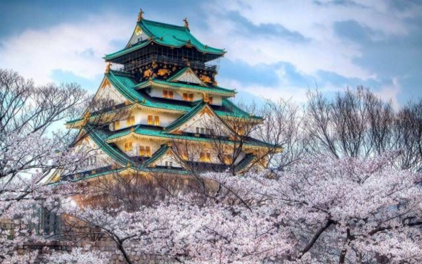 cerisier-japonais-temple-magique