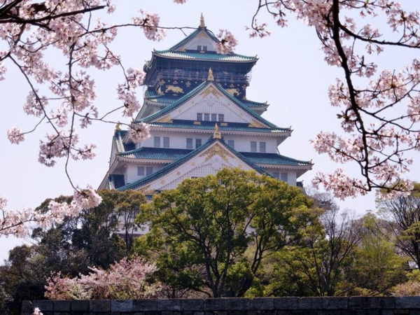 cerisier-japonais-un-temple-magnifique-et-des-rameaux-de-cerisiers