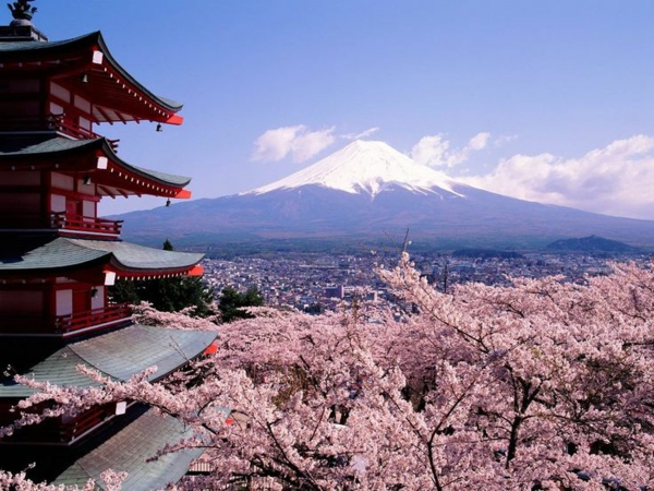 cerisier-japonais-un-temple-magnifique-et-le-sommet-de-la-montagne