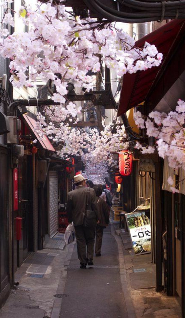 cerisier-japonais-une-rue-japonaise