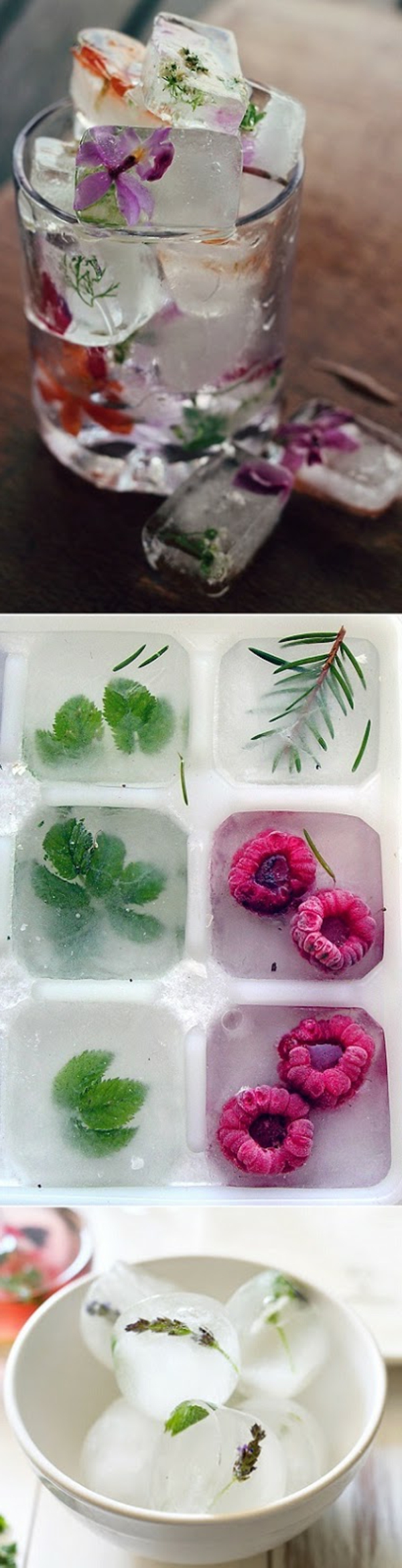 comment-faire-soi-même-morceaux-de-glace-avec-fleurs-dedans