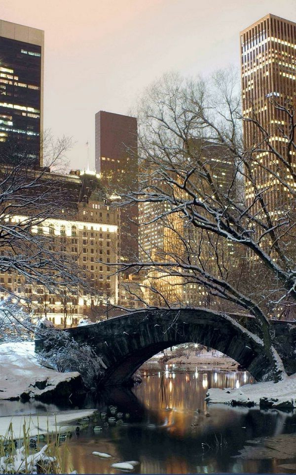 hiver-à-NYC-central-park-appartement-new-yorkais-décoration