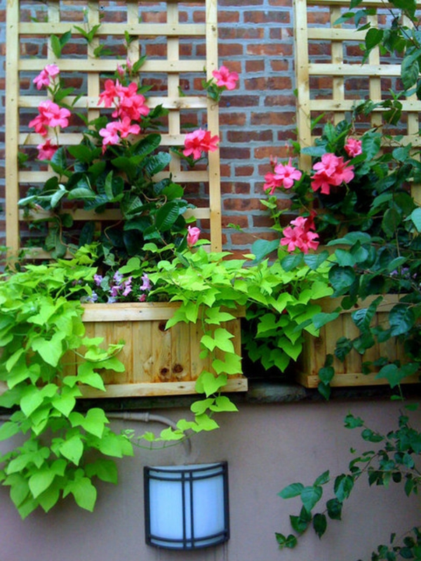 jardinière-avec-treillis-des-fleurs-et-des-treillis-un-mur-en-briques