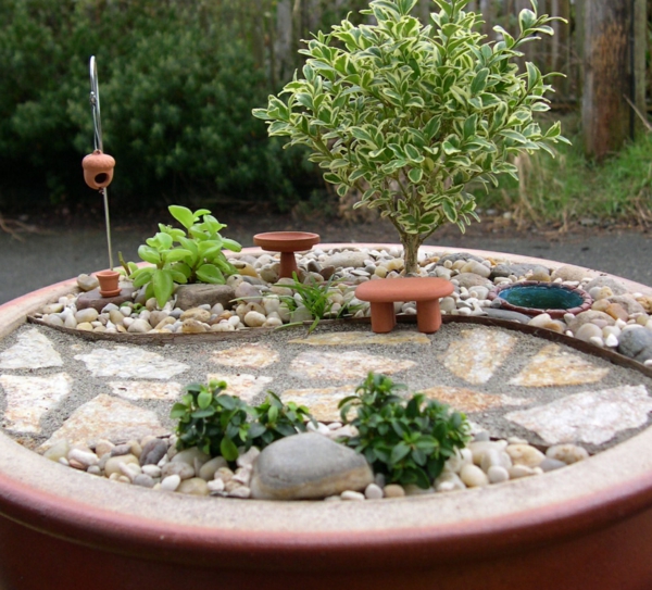 mini-jardin-zen-gravier-décoratif-allée-en-pierre-bonzai-vert