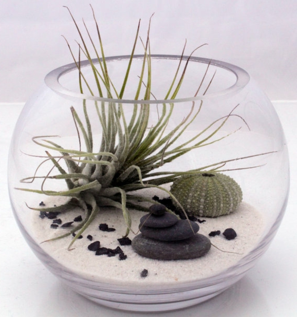 mini-jardin-zen-terarium