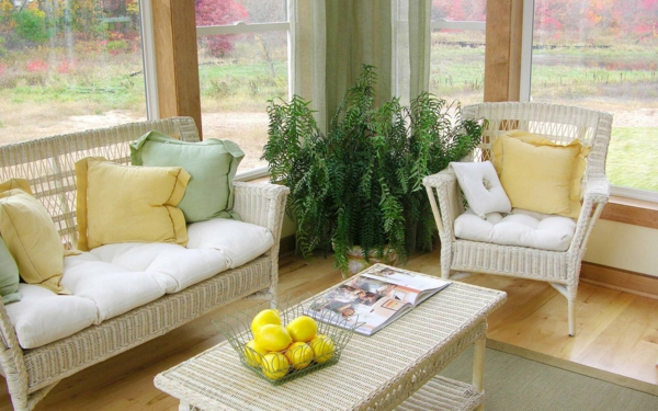 salle-de-séjour-lumineuse-arbre-chambre-à-coucher-jolie-ambiance-proche-de-la-nature-plante